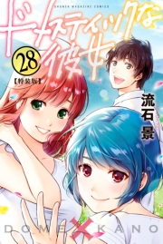ドメスティックな彼女（28）　特装版
