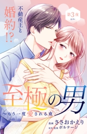 至極の男〜もう一度愛される夜［ｃｏｍｉｃ　ｔｉｎｔ］　分冊版（３）