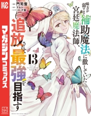 味方が弱すぎて補助魔法に徹していた宮廷魔法師、追放されて最強を目指す（13）