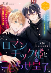 ロマンチック姫とこじらせ皇子　分冊版（３）