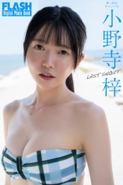 FLASHデジタル写真集　小野寺梓　LAST SHOUT