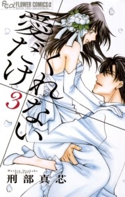 愛だけ　くれない　3
