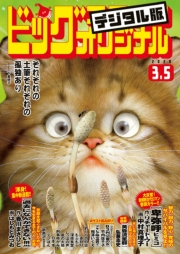 ビッグコミックオリジナル　2020年5号(2020年2月20日発売)