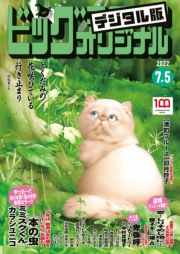 ビッグコミックオリジナル　2022年13号（2022年6月20日発売)