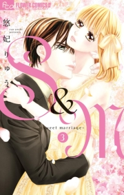 【期間限定　無料お試し版　閲覧期限2024年10月31日】S＆M〜sweet marriage〜 3