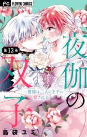 【期間限定　無料お試し版　閲覧期限2025年5月8日】夜伽の双子―贄姫は二人の王子に愛される―【マイクロ】 12