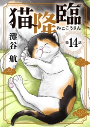 猫降臨【単話】 14