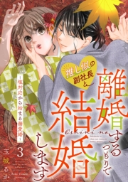 推し似の副社長と離婚するつもりで結婚します〜塩対応から始まる溺愛婚〜（３）