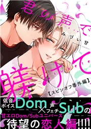 君の声で躾けて【スピンオフ番外編】
