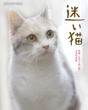 迷い猫