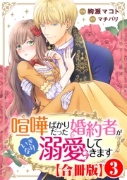 喧嘩ばかりだった婚約者がいきなり溺愛してきます【合冊版】3