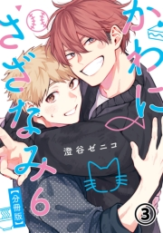 かわにさざなみ 6 【分冊版】 第3話 【大学生編】ほしいもの／「付き合って」