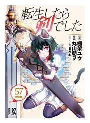 転生したら剣でした【分冊版】 57