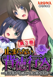 止まらない背徳行為 〜僕は誓いを破って、お姉を犯す〜（３）