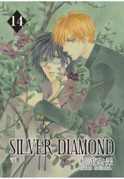 SILVER DIAMOND（14）