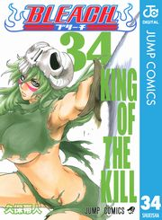 BLEACH モノクロ版 34