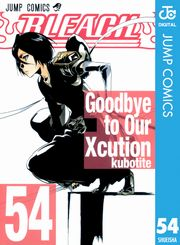 BLEACH モノクロ版 54