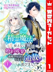 精霊魔法が使えない無能だと婚約破棄されたので、義妹の奴隷になるより追放を選びました 1