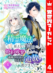 精霊魔法が使えない無能だと婚約破棄されたので、義妹の奴隷になるより追放を選びました 4