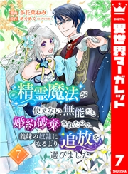 精霊魔法が使えない無能だと婚約破棄されたので、義妹の奴隷になるより追放を選びました 7