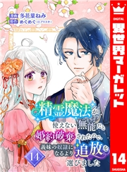 精霊魔法が使えない無能だと婚約破棄されたので、義妹の奴隷になるより追放を選びました 14