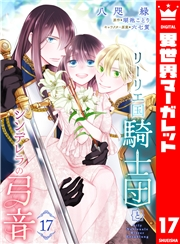 リーリエ国騎士団とシンデレラの弓音 17