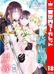 リーリエ国騎士団とシンデレラの弓音 18