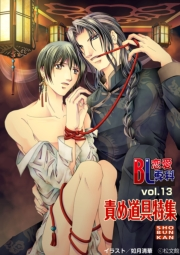 BL恋愛専科13 責め道具
