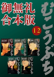 むこうぶち　高レート裏麻雀列伝　【御無礼合本版】（12）