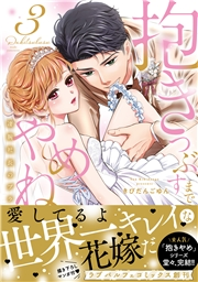 抱きつぶすまでやめねぇぞ〜凄腕社長のブライダルSEX【単行本版】（3）【電子限定描き下ろし漫画付き】