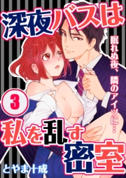 深夜バスは私を乱す密室〜眠れぬ夜、隣のアイツに…（３）