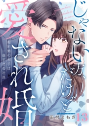 じゃない方、だけど愛され婚〜契約婚の相手は一途すぎる社長（13）
