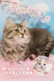 こねこびより　Four　Seasons