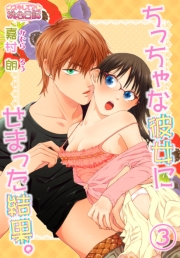 【期間限定価格】ちっちゃな彼女にせまった結果。 3