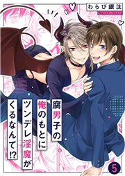 腐男子の俺のもとにツンデレ淫魔がくるなんて!?５