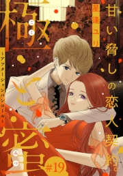 極と蜜〜アフターシャンパンコール〜［1話売り］　story19