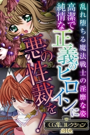 高潔で純情な正義のヒロインに悪の性裁を！ 〜乱れ堕ちる魔法戦士の淫靡な姿〜【CG集コレクションBIG】