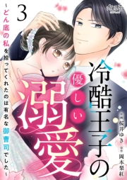 冷酷王子の優しい溺愛〜どん底の私を拾ってくれたのは有名な御曹司でした〜（3）