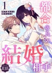 都合の良い結婚相手【R-18版】（１）