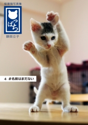 保護猫写真集 ねこっぱち! (4) #名前はまだない