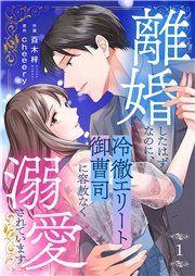 【期間限定　無料お試し版　閲覧期限2024年11月26日】離婚したはずなのに、冷徹エリート御曹司に容赦なく溺愛されています１