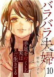 バラバラ夫婦〜手足をなくした夫はまだ生きてる１０