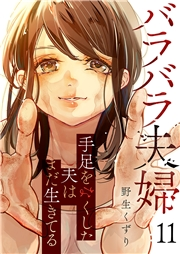 バラバラ夫婦〜手足をなくした夫はまだ生きてる１１