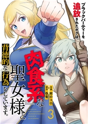 【期間限定　無料お試し版　閲覧期限2025年5月23日】ブラックパーティーを追放されたボクは、『肉食系』な聖女様と背徳的な行為をしています。３