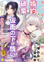 【期間限定　無料お試し版　閲覧期限2024年9月6日】身に覚えのない理由で婚約破棄されましたけれど、仮面の下が醜いだなんて、一体誰が言ったのかしら？（1）