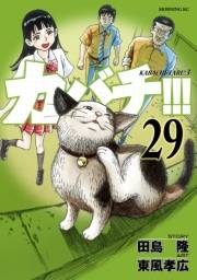 カバチ!!!　−カバチタレ！３−（29）