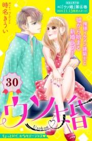 ウソ婚　分冊版（30）