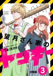 【期間限定　無料お試し版　閲覧期限2023年10月1日】望月さん家のヤンキー　分冊版（３）