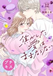 焦がした愛はままならない　プチキス（12）