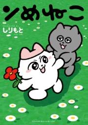 ンめねこ